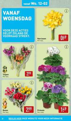  primula tulpen rozen woensdag bos bloemen narcissen stuk bekijk 