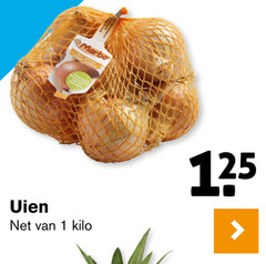  1 onions zwiebeln uien oogst reader kilo 