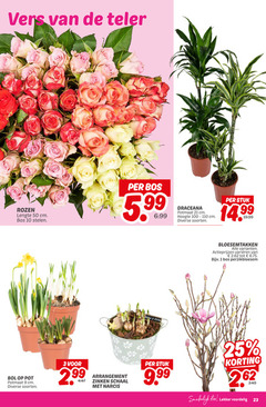  rozen narcissen 1 3 9 10 23 25 50 vers teler lengte cm bos stelen bol pot potmaat soorten 5.99 draceana hoogte stuk arrangement zinken schaal narcis bloesemtakken varieeren perzikbloesem eten 