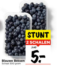  blauwe bessen 2 300 schaal schalen 