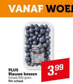  blauwe bessen 300 schaal 3.99 