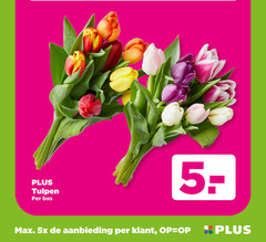  tulpen 5 bos 5x aanbieding 