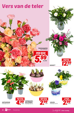  anthurium violen boeket 2 12 16 20 23 vers teler stuk potmaat cm vaas 5.99 voorjaars bollenmix trosanjers bos stelen colours festival 3.99 eten 