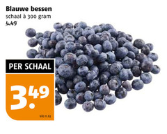  blauwe bessen 300 schaal kilo 