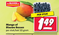  mango blauwe bessen stuk bak 