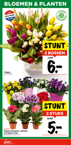  violen tulpen geranium 2 8 12 17 bloemen planten hollandse telers dagen bos stelen franse gerbera pot potmaat cm bossen stuks 