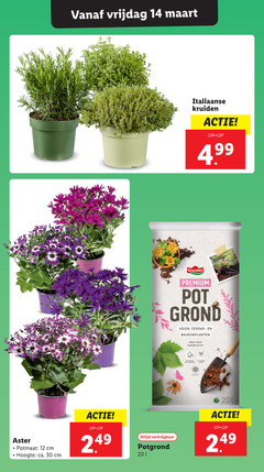  potgrond tuinplanten 12 14 30 vrijdag italiaanse kruiden premium pot grond terras balkonplanten planten consumer potmaat cm hoogte ca. 