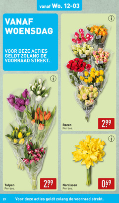  rozen tulpen woensdag bos bloemen narcissen 