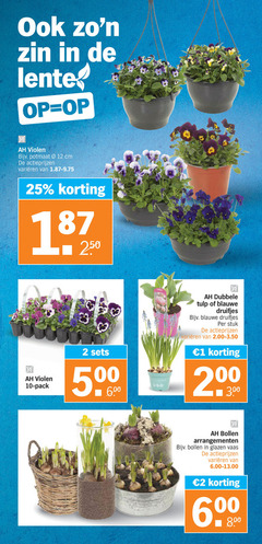  violen blauwe druifjes 1 2 6 10 12 25 200 lente potmaat cm varieeren 50 pack 00 muscari blue dubbele tulp stuk bollen arrangementen glazen vaas 