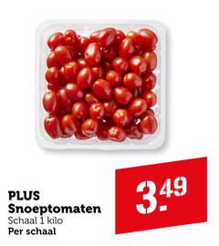  cherry tomaten 1 snoeptomaten schaal kilo 