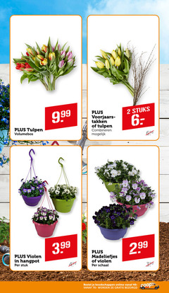  tulpen violen 2 6 40 volumebos voorjaars takken combineren stuks hangpot stuk 3.99 madeliefjes schaal online 