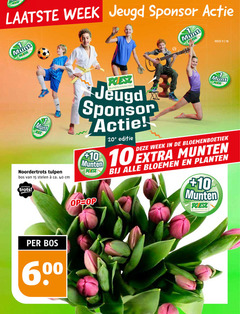  tulpen 1 11 15 40 week jeugd sponsor munt noordertrots bos stelen ca. cm noorder trots supermarkten editie munten bloemen planten 10 00 