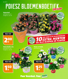  violen 3 10 11 12 20 30 50 150 200 week potmaat cm hoogte ca. munten supermarkten pot bellis mix bloemen planten blooming joy puur voordeel 